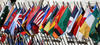 United Nations flags United Nations flags