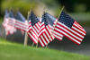 Row of small American flags in grass Row of small American flags in grass