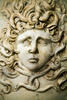 Medusa head Medusa head