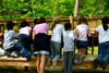 Kids on a field trip Kids on a field trip