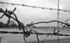 Barbed wire Barbed wire