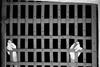 hands reaching through a jail wall hands reaching through a jail wall