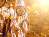 dream catchers dream catchers
