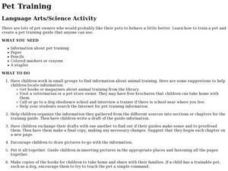 Pet Training Activity Pet Training Activity