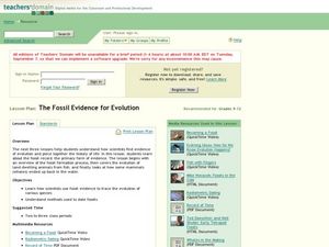 The Fossil Evidence for Evolution Lesson Plan The Fossil Evidence for Evolution Lesson Plan