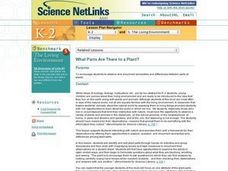 What Parts Are There to a Plant? Lesson Plan What Parts Are There to a Plant? Lesson Plan