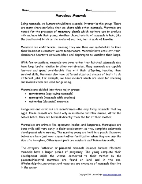 Worksheet Realistic Fiction Worksheets realistic fiction passages for 3rd grade 1000 images about math worksheet narrative reading passages