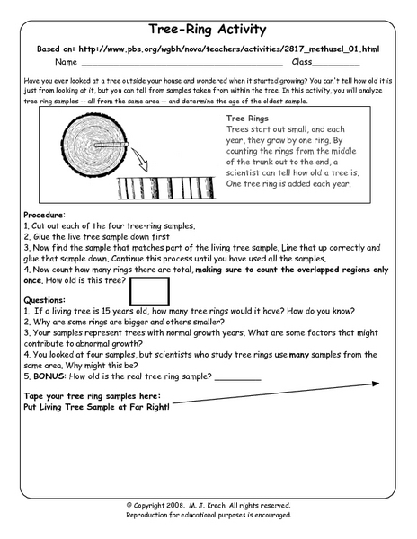 Tree Ring Dating Simulation Worksheet Answers Tree Ring Dating Simulation Worksheet Answers