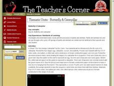 Butterfly and Caterpillar Lesson Plan Butterfly and Caterpillar Lesson Plan