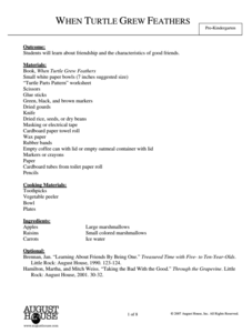 When Turtle Grew Feathers Lesson Plan When Turtle Grew Feathers Lesson Plan