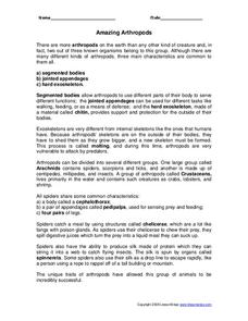 Amazing Arthropods Worksheet Amazing Arthropods Worksheet