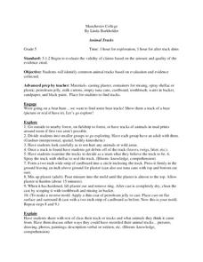 Animal Tracks Lesson Plan Animal Tracks Lesson Plan