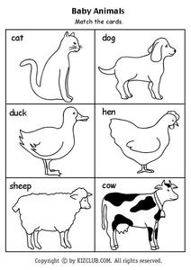Baby Animals Lesson Plan Baby Animals Lesson Plan