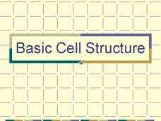 Basic Cell Structure PPT Basic Cell Structure PPT