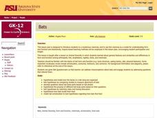 Bats Lesson Plan Bats Lesson Plan