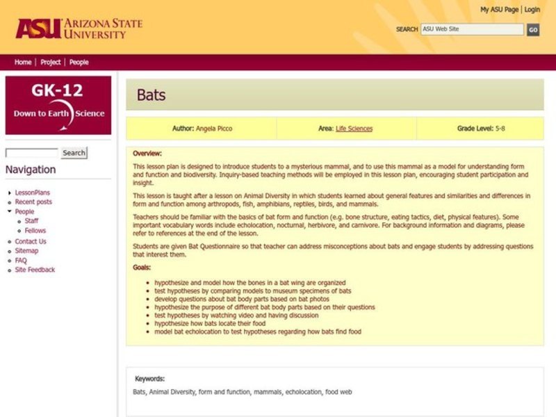 Bats Lesson Plan Bats Lesson Plan