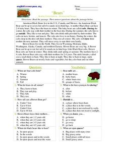 Bears Worksheet Bears Worksheet