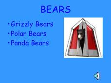 Bears PPT Bears PPT