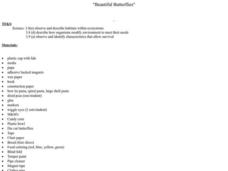 Beautiful Butterflies Lesson Plan Beautiful Butterflies Lesson Plan