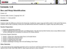 Bee and Wasp Identification Lesson Plan Bee and Wasp Identification Lesson Plan