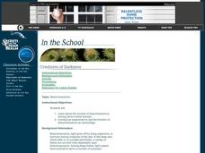 Bioluminescence Lesson Plan Bioluminescence Lesson Plan
