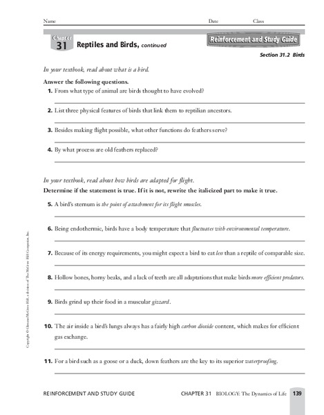 Birds Worksheet Birds Worksheet