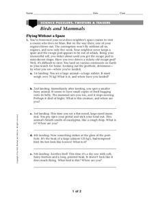 Birds and Mammals Worksheet Birds and Mammals Worksheet