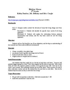 Blubber Gloves Lesson Plan Blubber Gloves Lesson Plan