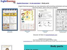 Body Parts Interactive Body Parts Interactive