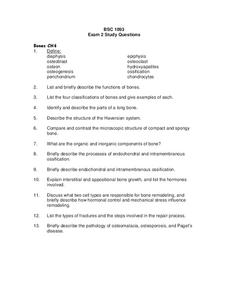 Bones Lesson Plan Bones Lesson Plan