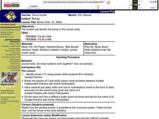 Bones Lesson Plan Bones Lesson Plan