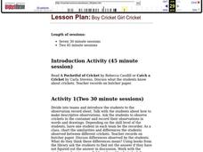 Boy Cricket Girl Cricket Lesson Plan Boy Cricket Girl Cricket Lesson Plan