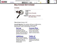 Boy Cricket Girl Cricket Lesson Plan Boy Cricket Girl Cricket Lesson Plan