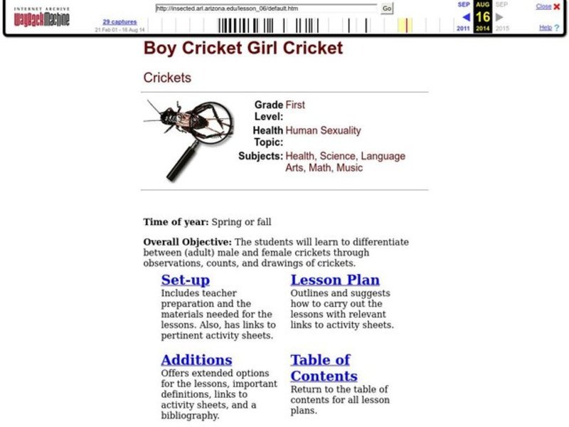 Boy Cricket Girl Cricket Lesson Plan Boy Cricket Girl Cricket Lesson Plan
