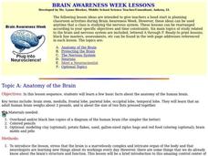 Brain Awareness Week Lesson Plan Brain Awareness Week Lesson Plan