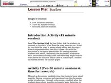 Bug Eyes Lesson Plan Bug Eyes Lesson Plan