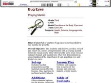 Bug Eyes Lesson Plan Bug Eyes Lesson Plan