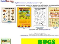 Bugs! Interactive Bugs! Interactive