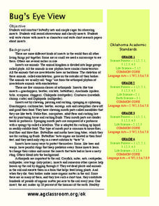 Bug's Eye View Lesson Plan Bug's Eye View Lesson Plan