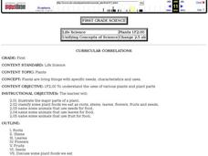 Plants Lesson Plan Plants Lesson Plan