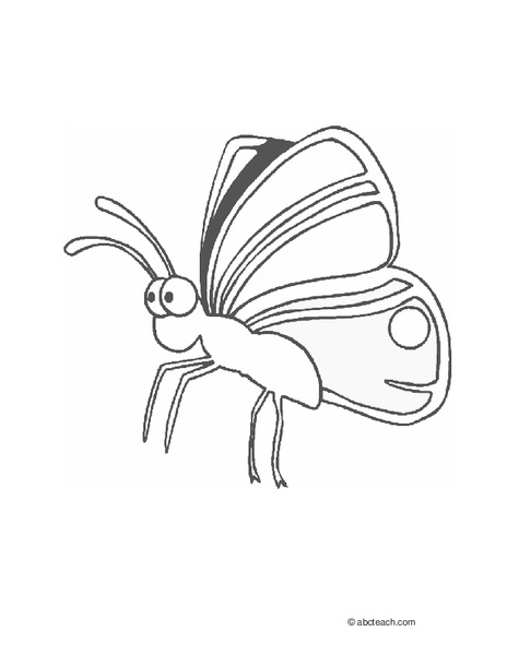 Butterfly Worksheet Butterfly Worksheet