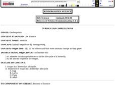 Butterfly Life Cycle Lesson Plan Butterfly Life Cycle Lesson Plan