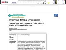 Camouflage and Protective Coloration: A Model of Natural Selection Lesson Plan Camouflage and Protective Coloration: A Model of Natural Selection Lesson Plan