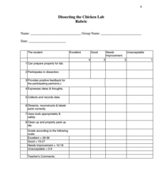 Skeletal Structures Organizer Skeletal Structures Organizer