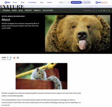 Animals and People: Who's Behaving Badly? Lesson Plan Animals and People: Who's Behaving Badly? Lesson Plan