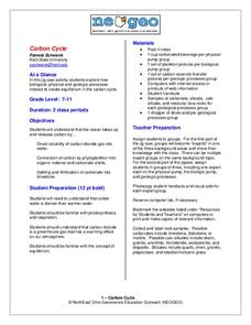 Carbon Cycle Lesson Plan Carbon Cycle Lesson Plan