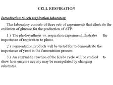 Cell respiration PPT Cell respiration PPT