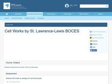 Cell Works Lesson Plan Cell Works Lesson Plan