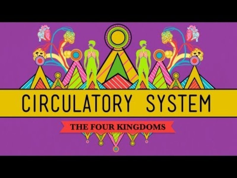 Circulatory and Respiratory Systems Instructional Video Circulatory and Respiratory Systems Instructional Video