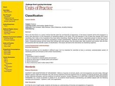 Classification Lesson Plan Classification Lesson Plan